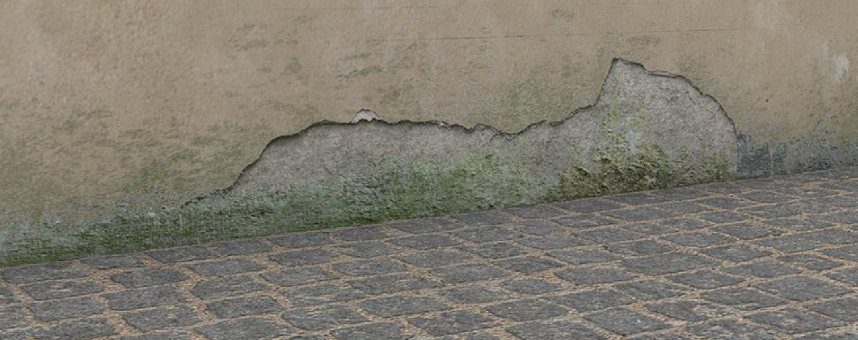 Riss in der Wand mit grünem Bewuchs über einem gepflasterten Boden.